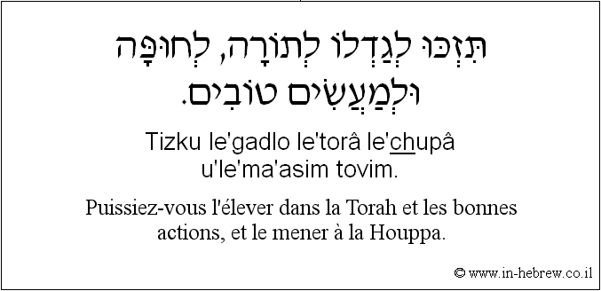 Français à l'hébreu: Puissiez-vous l'élever dans la Torah et les bonnes actions, et le mener à la Houppa.