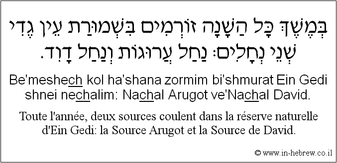 Français à l'hébreu: Toute l'année, deux sources coulent dans la réserve naturelle d'Ein Gedi: la Source Arugot et la Source de David.