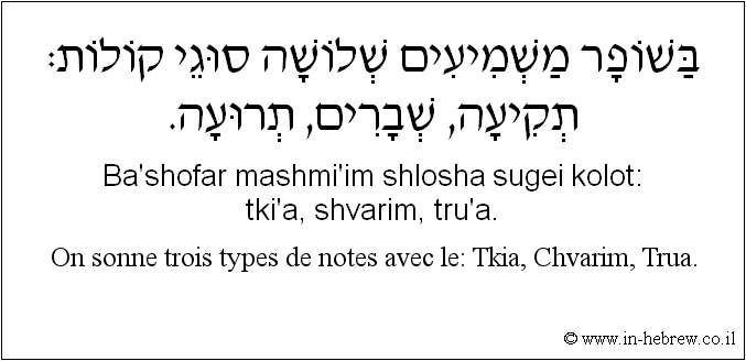 Français à l'hébreu: On sonne trois types de notes avec le: Tkia, Chvarim, Trua.