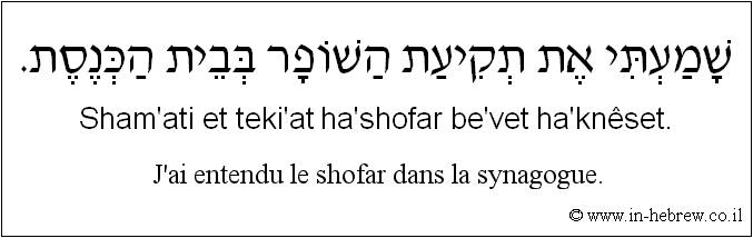 Français à l'hébreu: J'ai entendu le shofar dans la synagogue.
