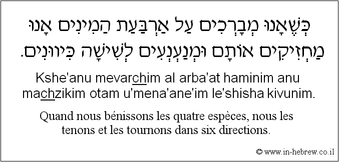 Français à l'hébreu: Quand nous bénissons les quatre espèces, nous les tenons et les tournons dans six directions.