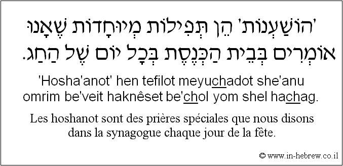 Français à l'hébreu: Les hoshanot sont des prières spéciales que nous disons dans la synagogue chaque jour de la fête.