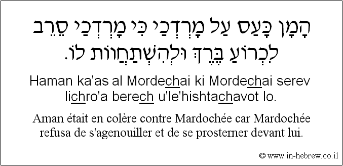 Français à l'hébreu: Aman était en colère contre Mardochée car Mardochée refusa de s'agenouiller et de se prosterner devant lui.