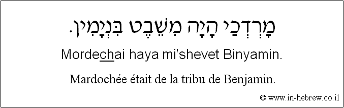 Français à l'hébreu: Mardochée était de la tribu de Benjamin.