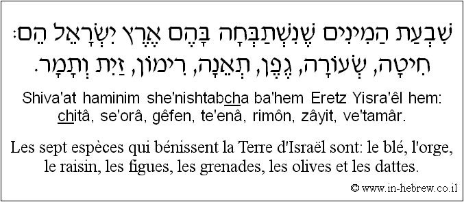 Français à l'hébreu: Les sept espèces qui bénissent la Terre d'Israël sont: le blé, l'orge, le raisin, les figues, les grenades, les olives et les dattes.