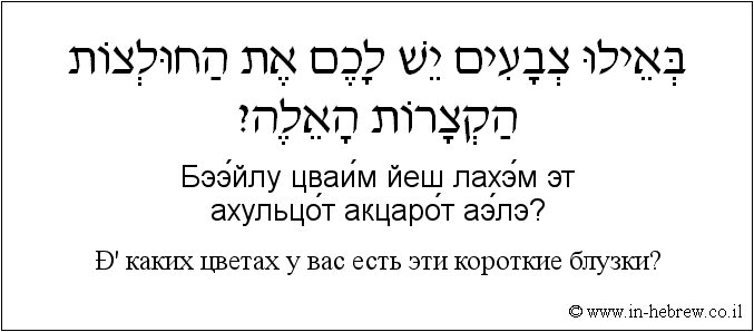 Иврит и русский: В каких цветах у вас есть эти короткие блузки?