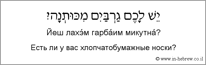 Иврит и русский: Есть ли у вас хлопчатобумажные носки?