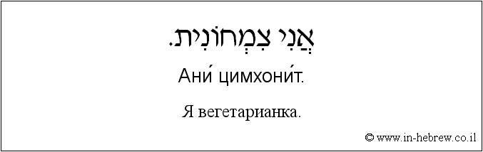 Иврит и русский: Я вегетарианка.