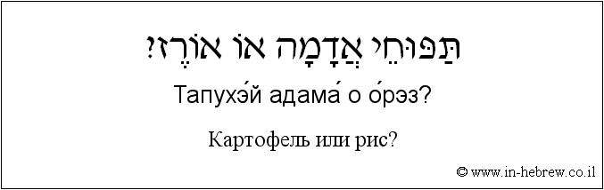 Иврит и русский: Картофель или рис?