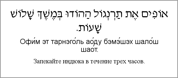 Иврит и русский: Запекайте индюка в течение трех часов