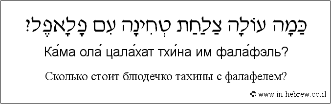 Иврит и русский: Сколько стоит блюдечко тахины с фалафелем?