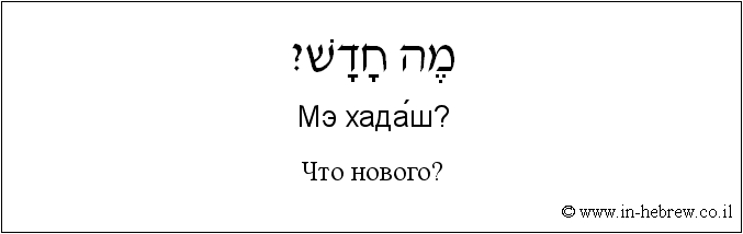 Иврит и русский: Что нового?