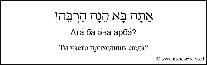 Иврит и русский: Ты часто приходишь сюда?