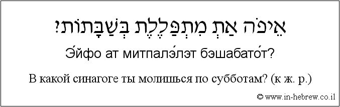 Иврит и русский: B какой синагоге ты молишься по субботам? (к ж. р.)