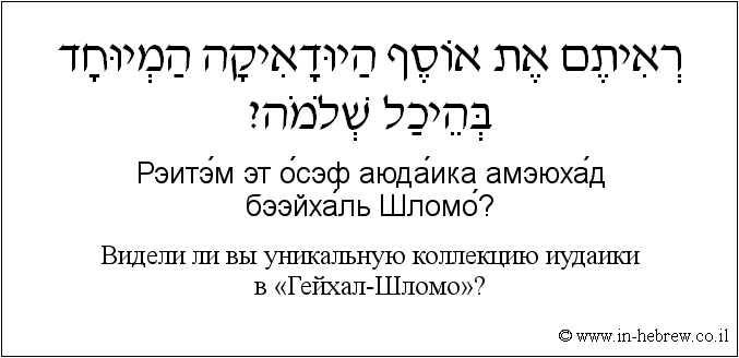 Иврит и русский: Bидели ли вы уникальную коллекцию иудаики в «Гейхал-Шломо»?