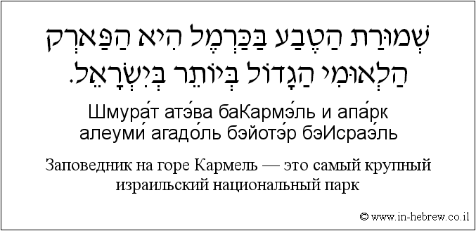 Иврит и русский: Заповедник на горе Кармель — это самый крупный израильский национальный парк