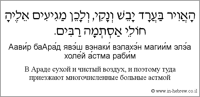 Иврит и русский: B Араде сухой и чистый воздух, и поэтому туда приезжают многочисленные больные астмой