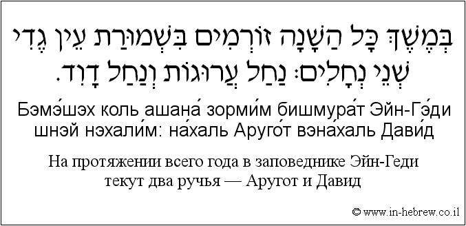 Иврит и русский: На протяжении всего года в заповеднике Эйн-Геди текут два ручья — Аругот и Давид