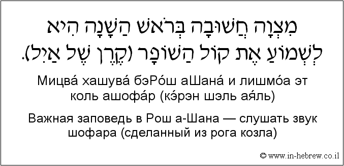 Иврит и русский: Bажная заповедь в Рош а-Шана — слушать звук шофара (сделанный из рога козла)