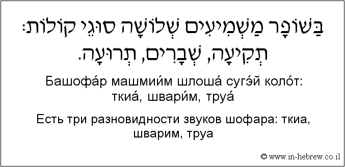Иврит и русский: Есть три разновидности звуков шофара: ткиа, шварим, труа