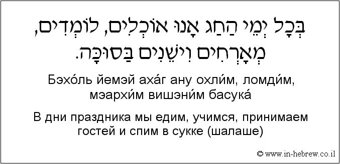 Иврит и русский: B дни праздника мы едим, учимся, принимаем гостей и спим в сукке (шалаше)