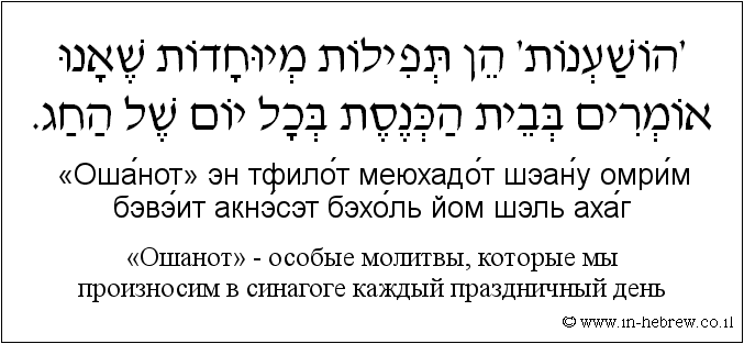 Иврит и русский: «Ошанот» — особые молитвы, которые мы произносим в синагоге каждый праздничный день