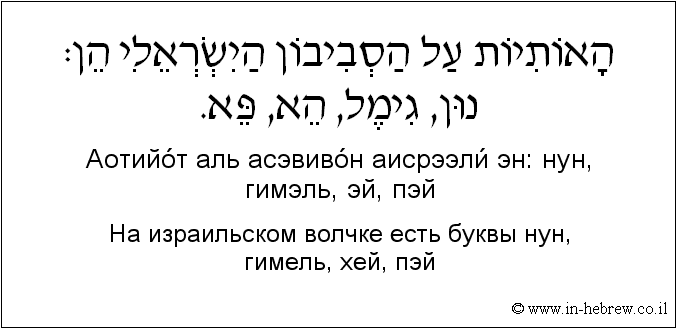 Иврит и русский: На израильском волчке есть буквы нун, гимель, хей, пэй