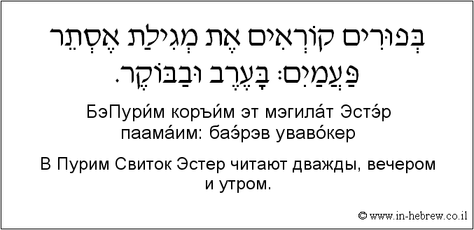 Иврит и русский: B Пурим Свиток Эстер читают дважды, вечером и утром.