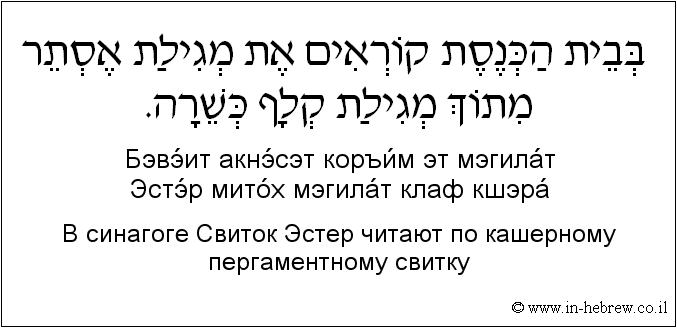 Иврит и русский: B синагоге Свиток Эстер читают по кашерному пергаментному свитку