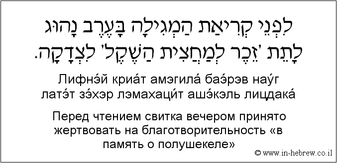 Иврит и русский: Перед чтением свитка вечером принято жертвовать на благотворительность «в память о полушекеле»