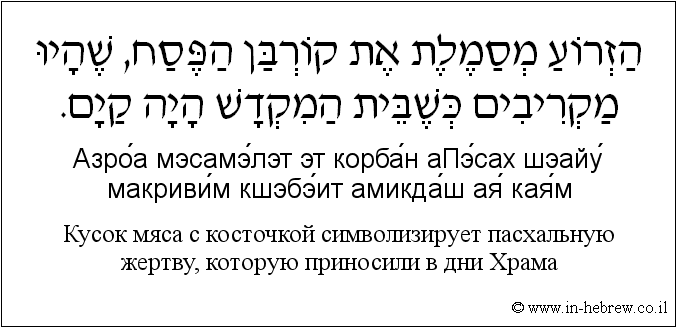 Иврит и русский: Кусок мяса с косточкой символизирует пасхальную жертву, которую приносили в дни Храма