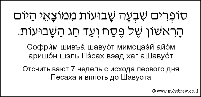 Иврит и русский: Отсчитывают 7 недель с исхода первого дня Песаха и вплоть до Шавуота