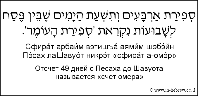 Иврит и русский: Отсчет 49 дней с Песаха до Шавуота называется «счет омера»