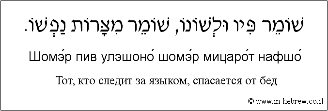 Иврит и русский: Тот, кто следит за языком, спасается от бед