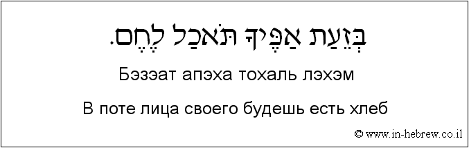 Иврит и русский: В поте лица своего будешь есть хлеб
