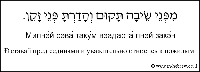Иврит и русский: Вставай пред сединами и уважительно относись к пожилым