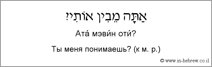 Иврит и русский: Ты меня понимаешь? (к м. р.)