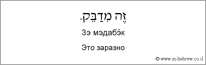 Иврит и русский: Это заразно