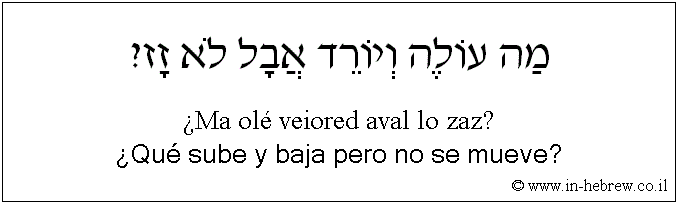 Español y hebreo: ¿Qué sube y baja pero no se mueve?