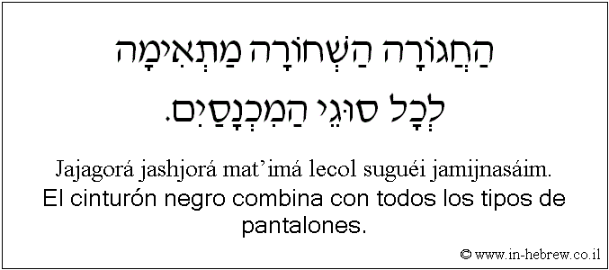 Español y hebreo: El cinturón negro combina con todos los tipos de pantalones.