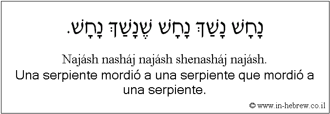 Español y hebreo: Una serpiente mordió a una serpiente que mordió a una serpiente.