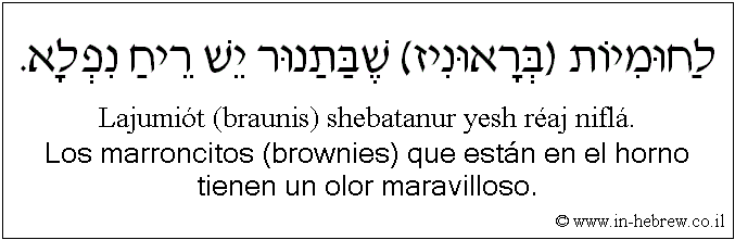 Español y hebreo: Los marroncitos (brownies) que están en el horno tienen un olor maravilloso.
