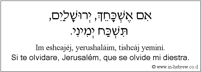 Español y hebreo: Si te olvidare, Jerusalém, que se olvide mi diestra.