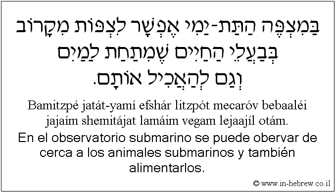 Español y hebreo: En el observatorio submarino se puede obervar de cerca a los animales submarinos y también alimentarlos.