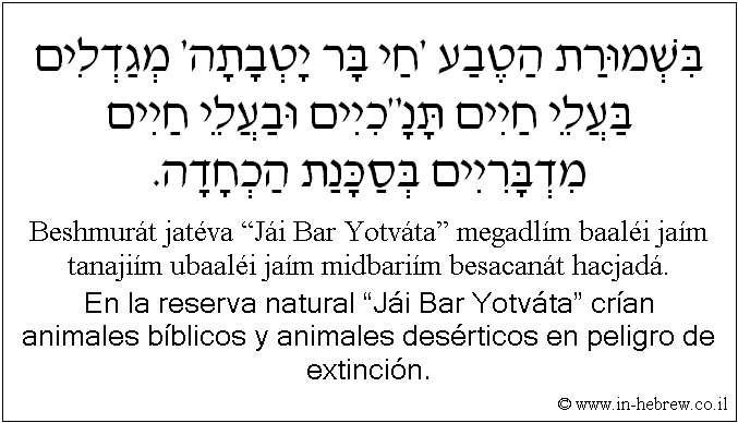 Español y hebreo: En la reserva natural “Jái Bar Yotváta” crían animales bíblicos y animales desérticos en peligro de extinción.