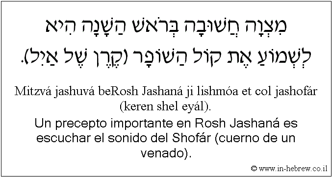 Español y hebreo: Un precepto importante en Rosh Jashaná es escuchar el sonido del Shofár (cuerno de un venado).