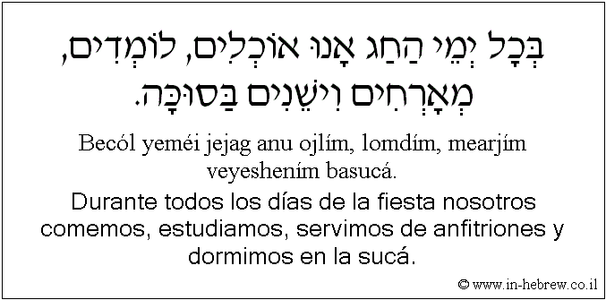 Español y hebreo: Durante todos los días de la fiesta nosotros comemos, estudiamos, servimos de anfitriones y dormimos en la sucá.