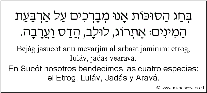 Español y hebreo: En Sucót nosotros bendecimos las cuatro especies: el Etrog, Luláv, Jadás y Aravá.