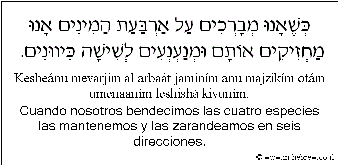 Español y hebreo: Cuando nosotros bendecimos las cuatro especies las mantenemos y las zarandeamos en seis direcciones.