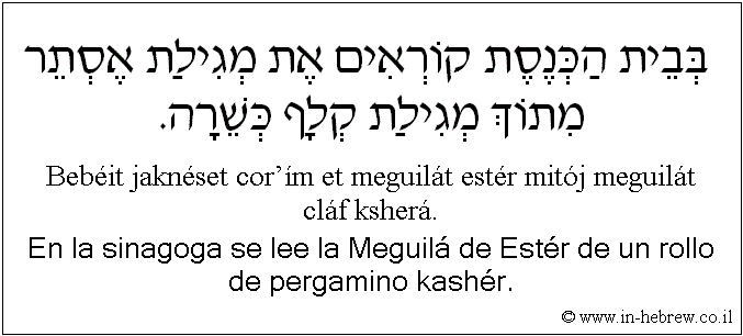 Español y hebreo: En la sinagoga se lee la Meguilá de Estér de un rollo de pergamino kashér.